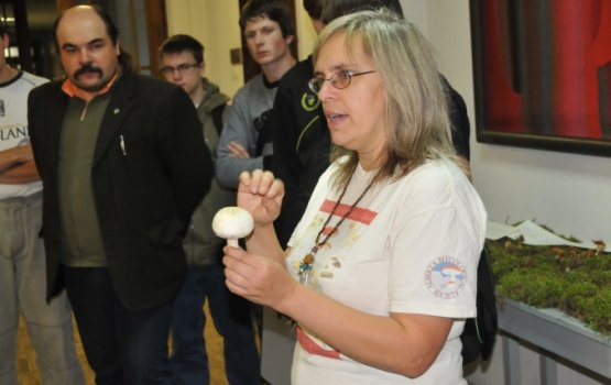 "�� ������, ��� �� ���� - �� ������" (����)