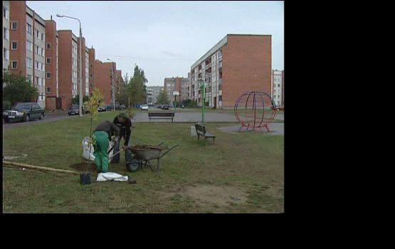 ПЖКХ приступило к озеленению новых территорий (видео)