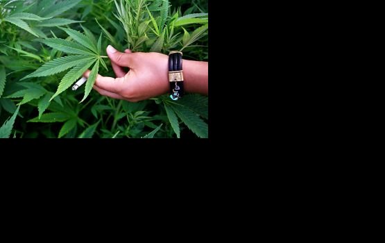 � ���������� ���� ��������� 720 �� ���������