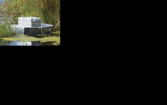 �� ������� ������ ���� � �������������� ����������