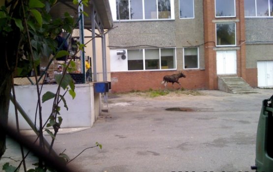 ������ ����� - ����� �� ���������� ����!