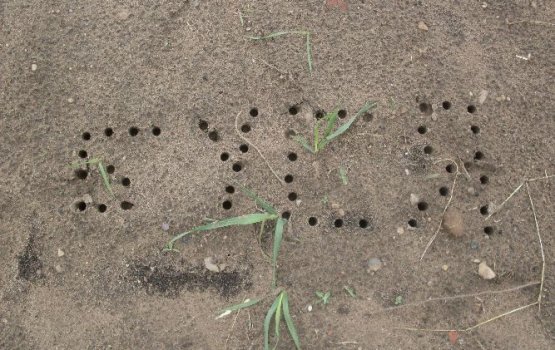 ������ ����� - ����� �� ���������� ����!