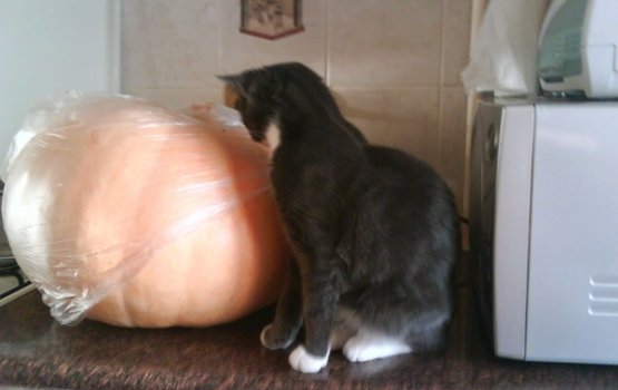 ������ ����� - ����� �� ���������� ����!