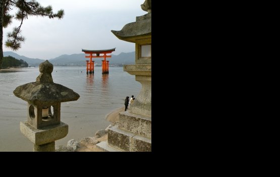 ������ ������� �������� ���������� ����������