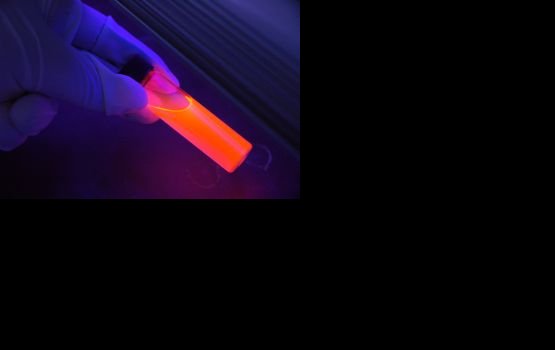 ��������������� �������� �������� ������������ ��� ������������ ���������