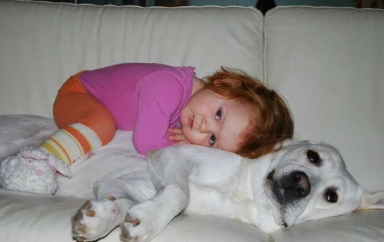 ����� �������� ������� ���������� ������ � �� ���������