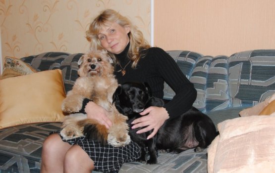 ����� �������� � ���������� �� ������