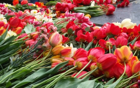 ���� �������� ����� �������� ����������� ������ � �����������