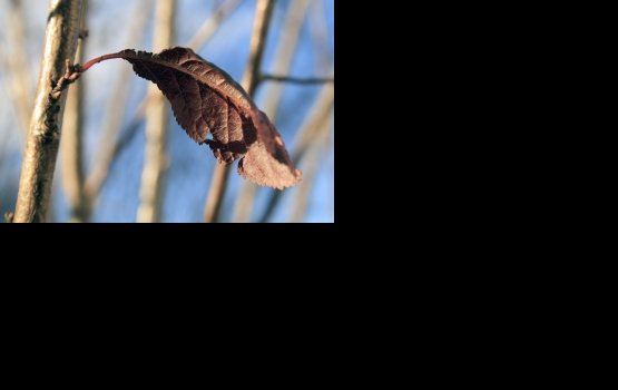 �� ���� ������ � ������ ���������� �������� ������