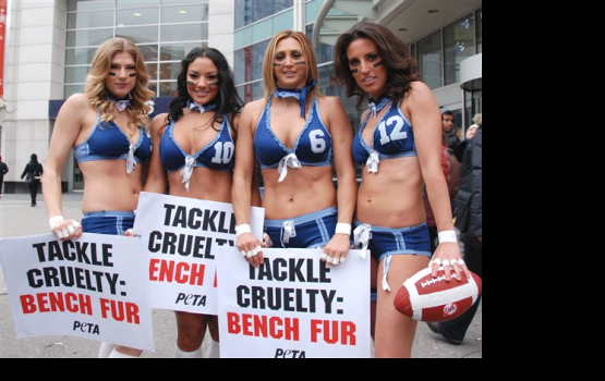 ����������� "��������� ����" LFL ��������� � ������ ���� ��������