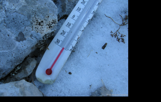 �� ��������� ����� � ������ 12 ������� ������ � �������� � ������������� � �����������