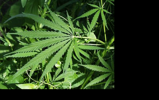 "��������": ���� � ��?!