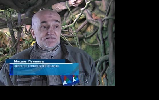 � ������� ��������� ����� (�����)