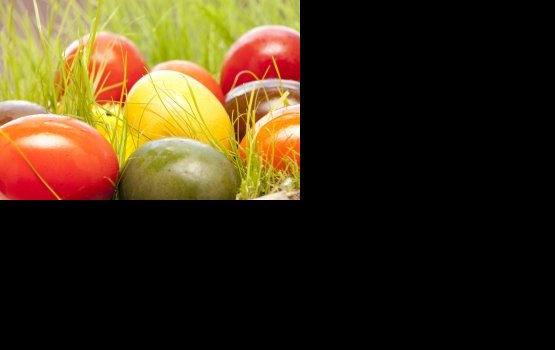 ����������� �������� � ������������� ���