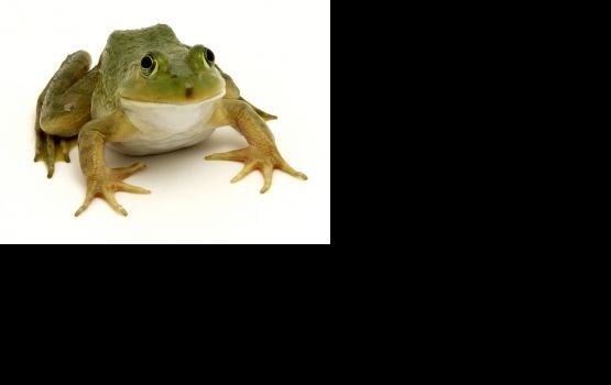 � ����� ��������� ������ �������