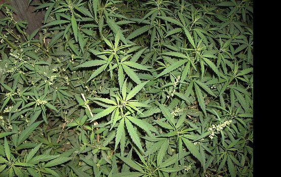 ��� ���� ������� �������� 3 �� �������, ����� ����������