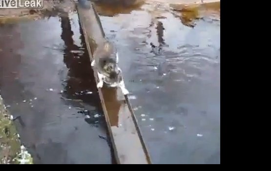 ���������� ���� - ����� ����� ���� � ���� (�����)