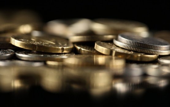 ���� ������ - ������� ��� ������ ���� ����������?