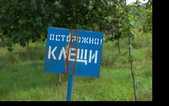 ����� ����� ����� ������