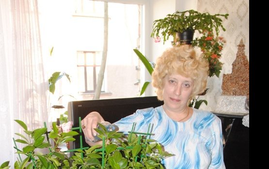 ��������� ���� �� �����������