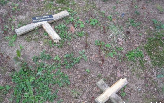 ������� ���������� ����������� � ���������� (����)