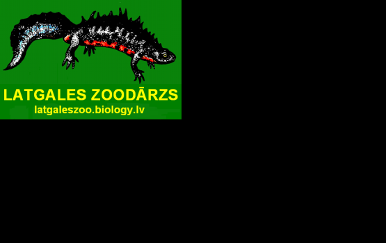 � ����������� �������� ��������� �������� �������� �ZOOMAIFEST�