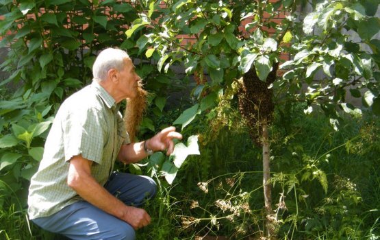 ������� ����� � � ������ �����������