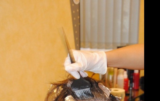 ������ �����: ��������