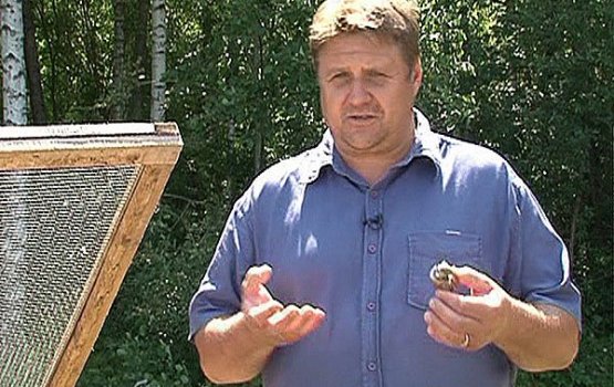 ������ ��-����������