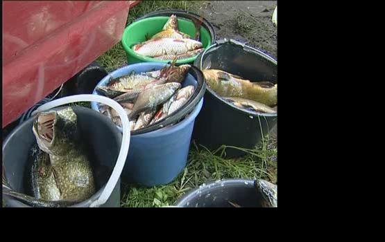 Водоёмы страны становятся безопаснее (видео)