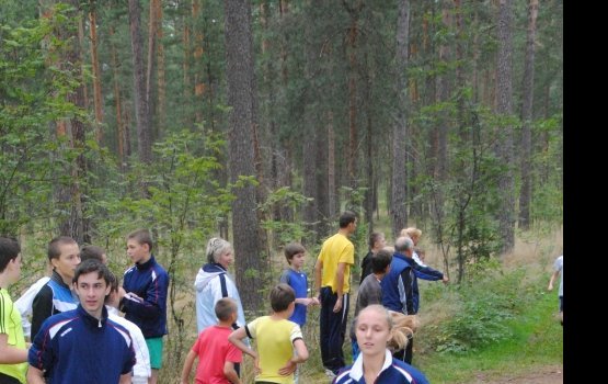 ���������� ������ ��������� ���� ������