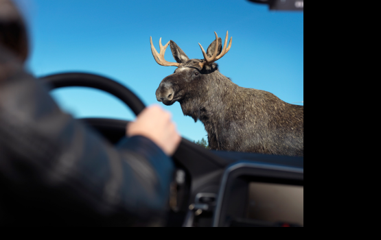 �� ������������ ���������� � ����� ������� �������