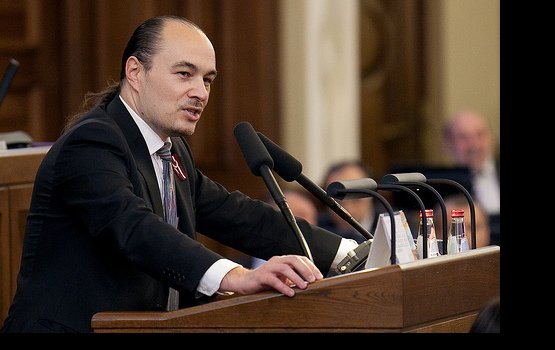 Депутат Сейма решил переквалифицироваться из каменщика в юристы