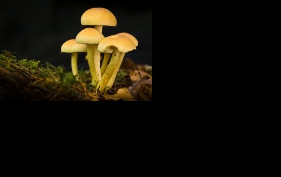 � ���������� ������� ��������� �� ������� ����� ������