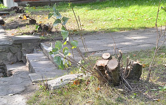 ��� �������� ������?