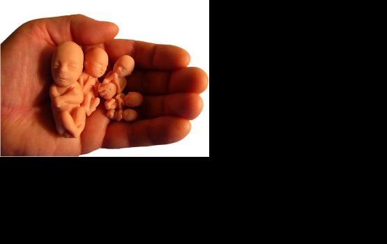 �������� ����������