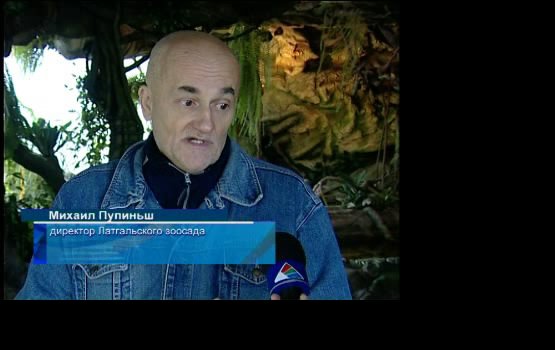 ���� �������� ����� �����, ������ ������� �� ��������