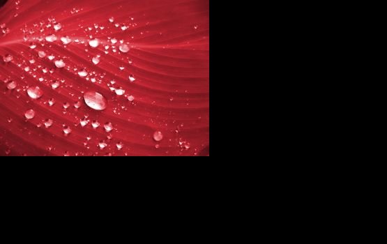 ���: �� ����� � ������ ����������� "�������� �����"