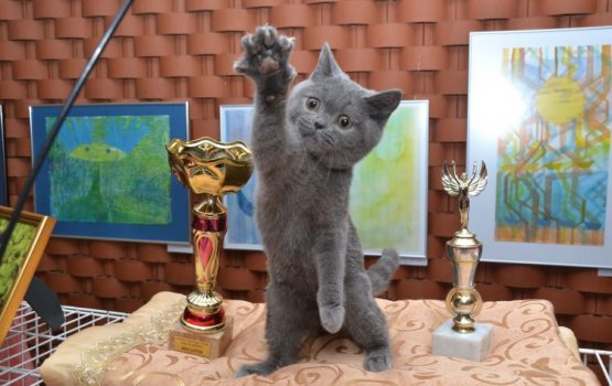 ����� �� ������ �� �����. ����� � ��� � �����