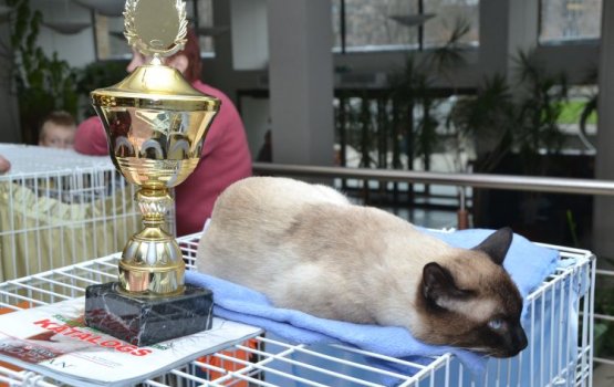 ����� �� ������ �� �����. ����� � ��� � �����