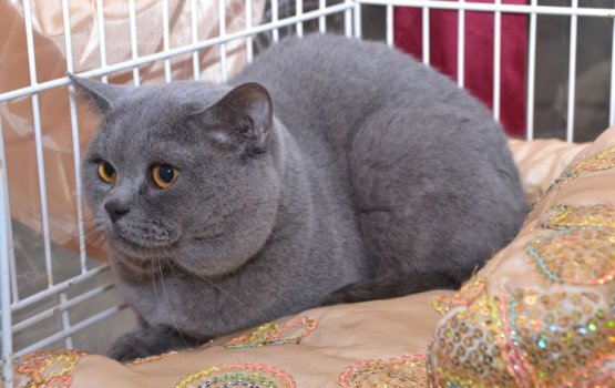 ����� �� ������ �� �����. ����� � ��� � �����