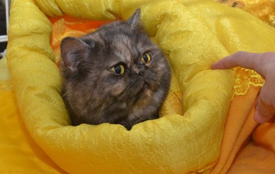 ����� �� ������ �� �����. ����� � ��� � �����