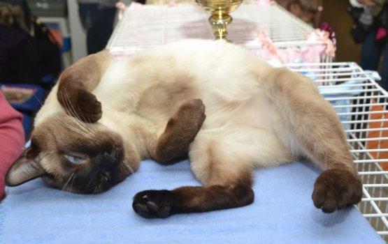 ����� �� ������ �� �����. ����� � ��� � �����