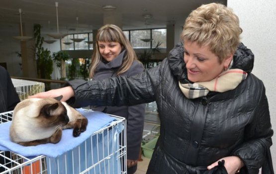 ����� �� ������ �� �����. ����� � ��� � �����