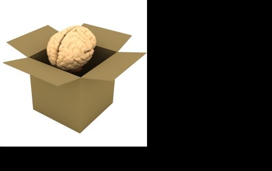 ������: ������������ ����� �������