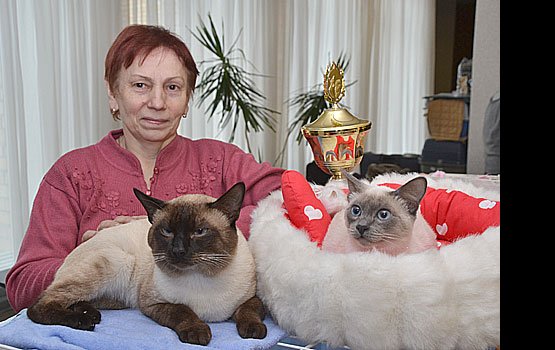 ��� ����������� �����