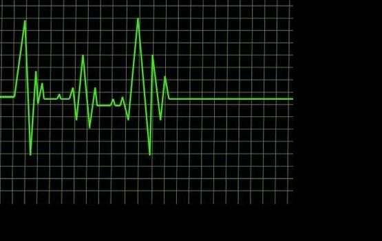 � �������� ����� ����� ���� �� ����������������� �����