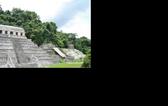 ��������� ������� ��������� ������ "����������� �����"