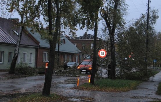 Даугавпилсу частично компенсируют ущерб от осенней бури