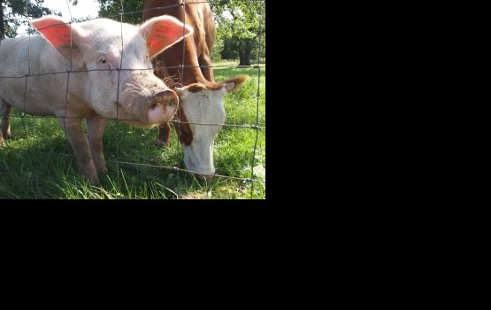 ���: ������ � ��� ��������� ������ ����